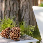 Les Pins De Santa Giulia * بورتو فيكشْيو