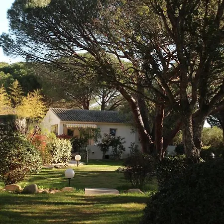 Les Pins De Santa Giulia