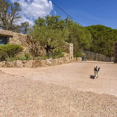 펜션 Les Pins De Santa Giulia *