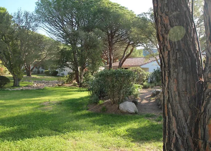 Les Pins De Santa Giulia *