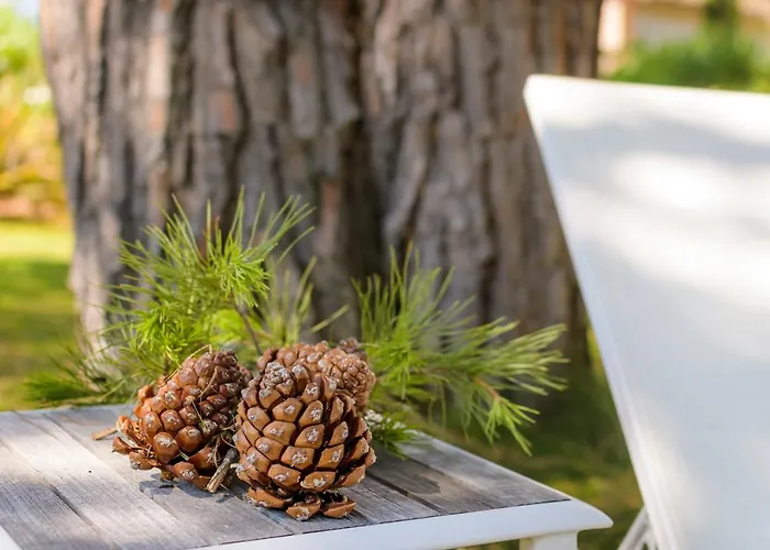 Les Pins De Santa Giulia * بورتو فيكشْيو